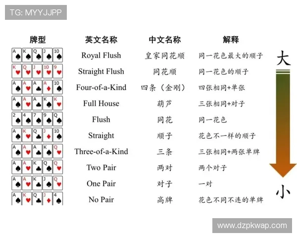 德州扑克规则大全：从入门到精通的全面指南与技巧分享