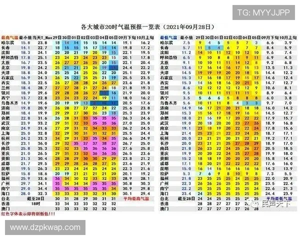 探索扑克牌赌场玩法的历史演变与未来发展趋势分析