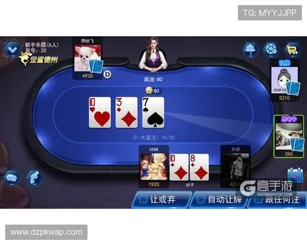 全面解析德州娱乐平台的安全保障措施与优质游戏体验